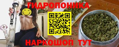прущие крисы Кимры