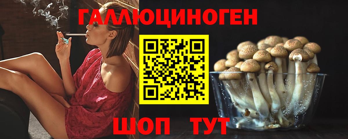 Галлюциногенные грибы мухоморы  Вход с VPN  Корсаков 